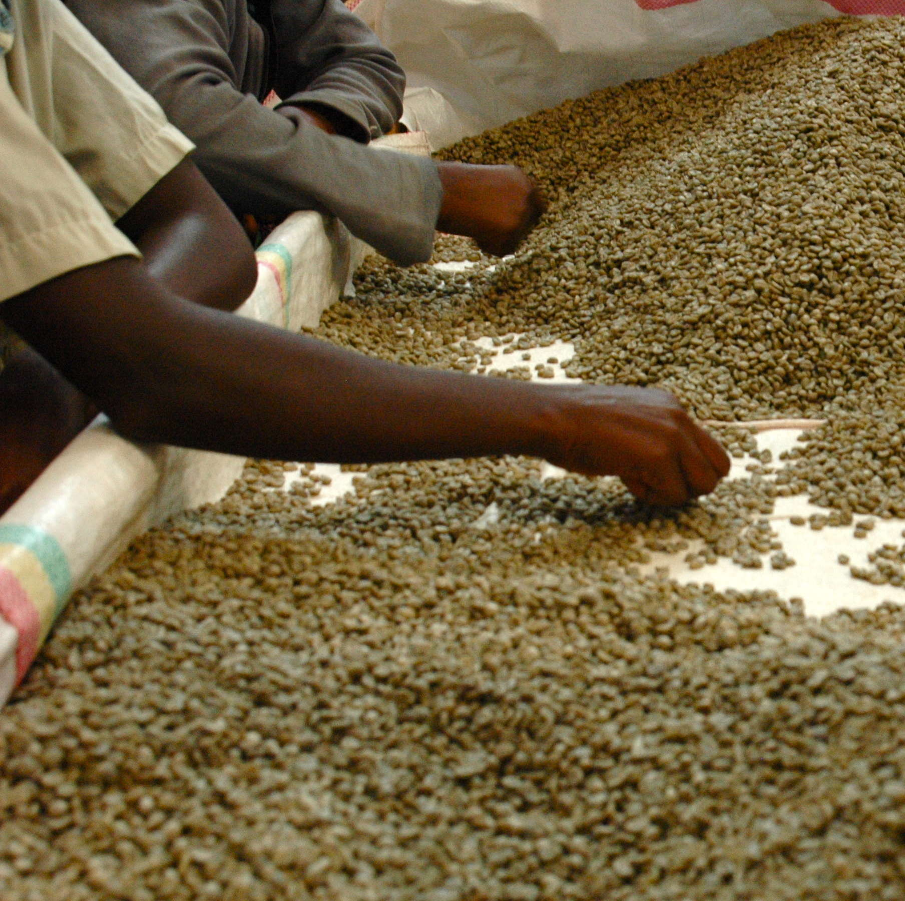 The first round of LINK focuses on Rwandan coffee