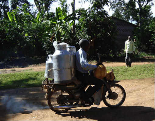 Dairy delivery by motorbike in Tanzania. Photo: ILRI via Creative Commons.